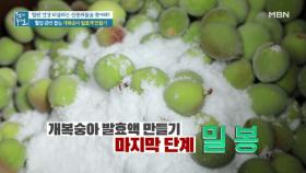 발효액 밀봉에는 '이것'? ＜개복숭아 발효액＞② MBN 210702 방송