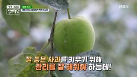 농부의 땀과 노력의 결정체! 유기농 농산물 MBN 210723 방송