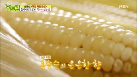 집에서도 맛있게♥ 쫀득쫀득 [옥수수 삶는 법] MBN 210725 방송