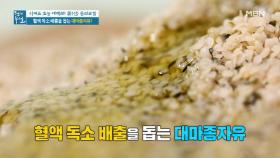 혈액 독소 배출에 도움 되는 '대마종자유' MBN 210917 방송