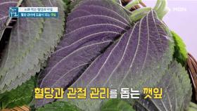 깻잎이 당뇨 예방에 도움이 되는 이유는? MBN 211001 방송