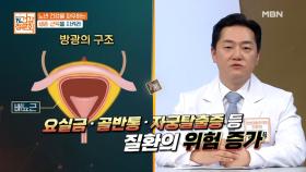 노년 건강을 좌우하는 ‘생존 근육’의 중요성 MBN 211107 방송