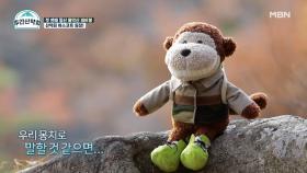 유세윤 한 스푼 + 송진우 두 스푼! 산악회 마스코트 ‘산몽치’ MBN 211115 방송