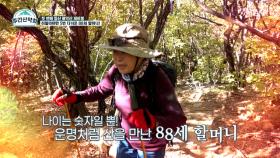 미친 등산 경력! 히말라야만 5번 갔다 온 88세 할머니 MBN 211115 방송