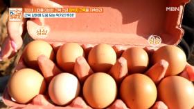 닭 잡으러 온 홍진희? 갓 낳은 달걀을 한입에 쏙~ MBN 211121 방송