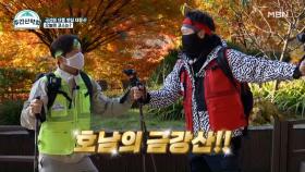 전국 최강 단풍 맛집 대둔산♡ 유세윤도 감탄한 랜선 단풍 여행! MBN 211122 방송