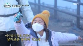 노고단 정상에서 열린 환상적인 발레 공연!? ㅇㅅㅇ 너무 완벽해~☆ MBN 211206 방송