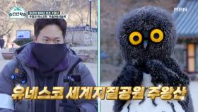 유네스코 세계지질공원 주왕산! 눈을 사로잡는 압도적인 기암과 계곡! MBN 211213 방송