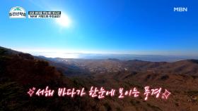이맛산~! 힘든 계단 끝 펼쳐진 선물 같은 서해의 풍경! 이것이 등산의 매력♥ MBN 211220 방송
