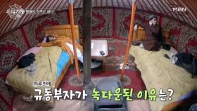 정동원이 힘든 이유… 이래서 저녁만 되면 곯아떨어지는구나? MBN 230711 방송