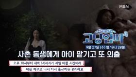 [선공개] 아이들만 재우고 밤중에 외출...?! | 고딩엄빠4 MBN 230927 방송