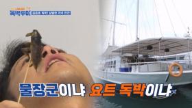 「김준호 독박」 벌레가 가여워서 요트 값을 내시나요 MBN 231007 방송