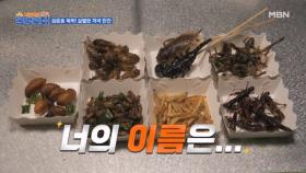 내 벌레가 맛있니, 네 벌레가 맛있니 MBN 231007 방송