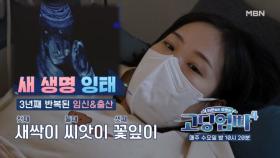 [고딩엄빠4] 3년 동안 3명의 아이를?! 연년생 남매에 모자라 임신 중! MBN 231018 방송