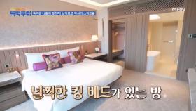 싱가폴 스위트룸 공짜~ 공짜~ 공짜~ MBN 231021 방송