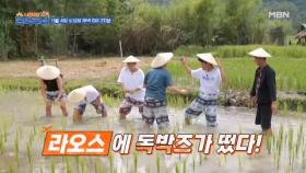 [예고] 떴다 독박즈! 이번엔 라오스에~ MBN 231104 방송