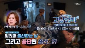 [예고] 미리암 드디어 출산하다! 그런데 중단된 출산...?! | 고딩엄빠4 MBN 231122 방송