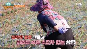 오늘의 주인공은?! MBN 231130 방송