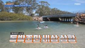 [선공개] 호주 사람들도 알아본다는 독박즈 (아님) MBN 231209 방송