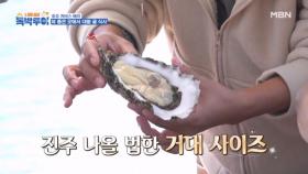 굴굴굴굴 굴굴굴 굴!굴!!! MBN 231209 방송