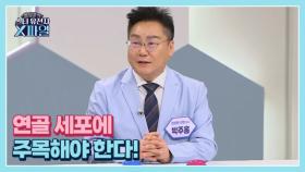 임성훈의 스타유전자X파일 20회 ＜튼튼한 관절, 이제는 연골 세포를 주목해야 한다!＞ MBN 240309 방송