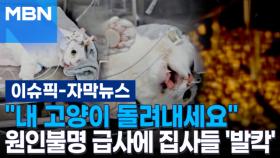 [자막뉴스] ＂내 고양이 돌려내세요＂ 원인불명 급사에 집사들 