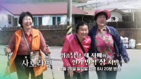 [634회] 위풍당당 세 자매와 인기 만점 장 서방 MBN 240428 방송