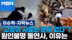 [자막뉴스] ＂고양이 사료는 문제 없다＂? 원인불명 돌연사, 이유는 | 이슈픽