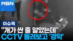 ＂개가 싼 줄 알았는데＂ CCTV 돌려보고 '경악' | 이슈픽