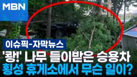 [자막뉴스] '쾅!' 나무 들이받은 승용차, 횡성 휴게소에서 무슨 일이? | 이슈픽