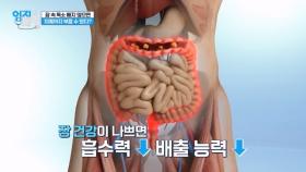 ※한국인이 특히※ 취약한 장 건강, 장 속 ○○가 전신 건강을 해치는 이유! MBN 240521 방송