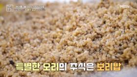 보리밥 먹는 특별한 오리의 정체는? MBN 240802 방송