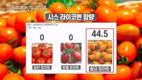 황금토마토가 혈관 회춘에 도움? MBN 240802 방송