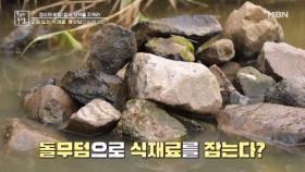 돌무덤으로 잡는 식재료의 정체는? MBN 240809 방송