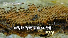 산속 거대한 바위 속 보물은? MBN 240816 방송