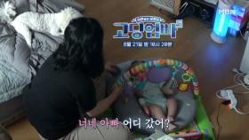 [선공개 1] 아침부터 아이를 돌보는 아내, 하지만 남편은 보이지 않는데.. MBN 240821 방송