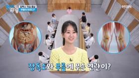 무릎 통증이 있다면 관절염? 『장독소』를 의심하라! MBN 240903 방송