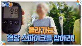 알약방 219회 ＜계속되는 식욕, 올라가는 혈당 스파이크를 잡아라!＞ 미리보기 MBN 240905 방송