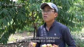 어린 시절 누나들 생각에 눈시울 붉히는 동생 MBN 240908 방송