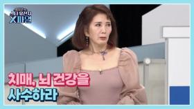 임성훈의 스타유전자X파일 46회 ＜12분에 1명씩 발생하는 치매 뇌 건강을 사수하라＞ MBN 240914 방송