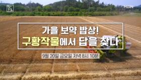 가을 보약 밥상, 구황작물에서 답을 찾다 MBN 240920 방송