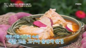 고구마 농부의 고구마 활용법 MBN 240920 방송