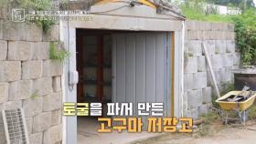 자연 속 온도 유지가 가능한 특별한 고구마 보관법 MBN 240920 방송