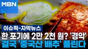 [자막뉴스] 한 포기에 2만 2천 원? '경악'…결국 '중국산 배추' 풀린다 | 이슈픽