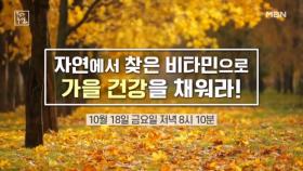 자연에서 찾은 비타민으로 가을 건강을 챙겨라! MBN 241018 방송