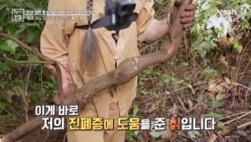 산속에서 실천하는 식치법은? MBN 241101 방송