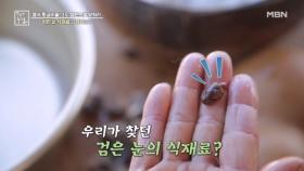 염도 밸런스 맞춤, 까만 눈 식재료를 찾아라 MBN 241108 방송