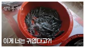 [충격] 간판에 욕이 있는 식당?! 들어가자마자 반겨주는 괴이한 생명체?! MBN 241115 방송