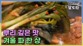 뿌리 깊은 맛 겨울 파 한 상 MBN 241117 방송