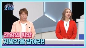 임성훈의 스타유전자X파일 57회 ＜증상도 통증도 없다! 간암의 씨앗 지방간을 잡아라＞ MBN 241123 방송